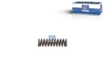 DT Spare Parts - Spring - 2.32713 - 10 Pack