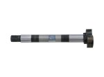 DT Spare Parts - Brake camshaft - 2.40106