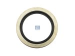 DT Spare Parts - Seal ring - 2.53104 - 10 Pack