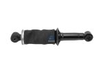 DT Spare Parts - Cabin shock absorber - 2.70094