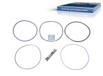 DT Spare Parts - Seal ring kit - 2.91144