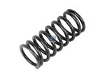 DT Spare Parts - Valve spring - 3.13023 - 12 Pack