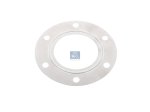 DT Spare Parts - Gasket - 4.20214 - 2 Pack