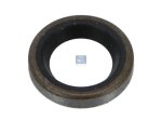 DT Spare Parts - Seal ring - 4.20346