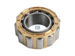 DT Spare Parts - Cylinder roller bearing - 4.61948