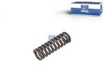 DT Spare Parts - Pressure spring - 4.70087 - 100 Pack