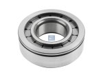 DT Spare Parts - Cylinder roller bearing - 5.30138