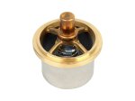 DT Spare Parts - Thermostat - 6.30309