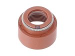 DT Spare Parts - Valve stem seal - 6.22186 - 6 Pack