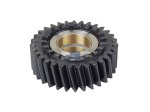 DT Spare Parts - Axle shaft gear - 1.16008