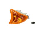 DT Spare Parts - Turn signal lamp - 7.25102