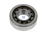 DT Spare Parts - Cylinder roller bearing - 3.50054