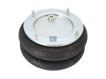 DT Spare Parts - Air spring - 10.66009