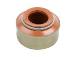 DT Spare Parts - Valve stem seal - 7.51302 - 6 Pack