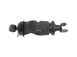 DT Spare Parts - Cabin shock absorber - 1.23461