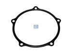 DT Spare Parts - Gasket - 10.20481 - 2 Pack