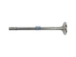 DT Spare Parts - Exhaust valve - 1.10948 - 2 Pack