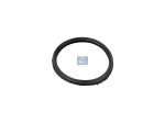 DT Spare Parts - Seal ring - 4.20787 - 5 Pack