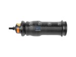 DT Spare Parts - Cabin shock absorber - 1.25976