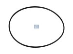 DT Spare Parts - Seal ring - 4.20707