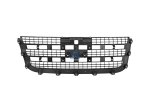 DT Spare Parts - Front grill - 13.87201