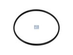 DT Spare Parts - Seal ring - 4.20818