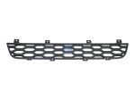 DT Spare Parts - Grille - 2.71345