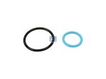 DT Spare Parts - O-ring kit - 1.31208