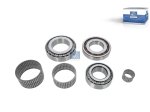 DT Spare Parts - Bearing kit - 2.93246