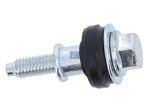 DT Spare Parts - Screw - 3.12131