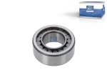 DT Spare Parts - Cylinder roller bearing - 3.50089