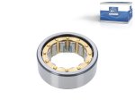 DT Spare Parts - Cylinder roller bearing - 3.50088