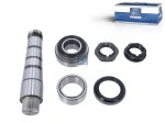 DT Spare Parts - King pin kit - 2.95020