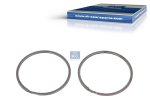 DT Spare Parts - Seal ring kit - 3.18160