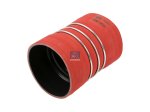 DT Spare Parts - Charge air hose - 3.16410