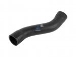 DT Spare Parts - Radiator hose - 1.11625