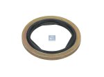 DT Spare Parts - Seal ring - 2.76130