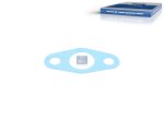 DT Spare Parts - Gasket - 1.24170 - 10 Pack