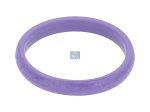 DT Spare Parts - Seal ring - 2.11490