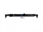 DT Spare Parts - Hydraulic cylinder - 1.19176