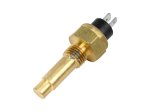 DT Spare Parts - Temperature sensor - 1.21604