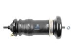 DT Spare Parts - Cabin shock absorber - 1.25971