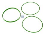 DT Spare Parts - O-ring kit - 1.31066