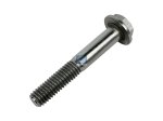 DT Spare Parts - Flange screw - 2.10162 - 2 Pack