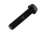 DT Spare Parts - Connecting rod screw - 2.10356 - 10 Pack