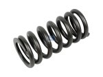 DT Spare Parts - Valve spring - 2.10276 - 2 Pack