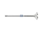 DT Spare Parts - Exhaust valve - 2.10286 - 2 Pack