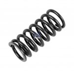 DT Spare Parts -  Valve spring - 4.70117 - 12 Pack