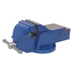 Sealey Professional Heavy-Duty Fixed Base Vice 125mm