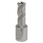 Sealey Worksafe® 12mm HSS Mag Drill Bit Cut Depth 25mm